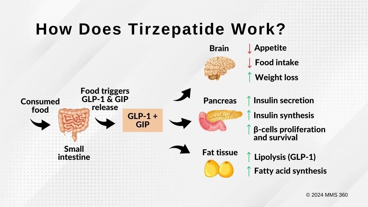 How Does Tirzepatide Work